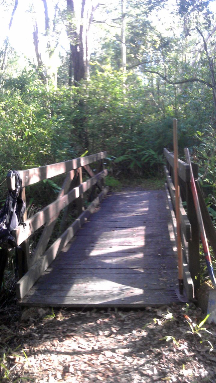 Casuarina Grove, Bridge Clean.